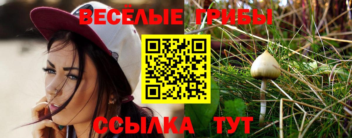 Южноуральск  Псилоцибиновые грибы мицелий  Вход с VPN  Псилоцибиновые грибы Magic Shrooms 